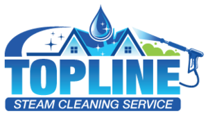 toplinesteamcleaning.co.uk